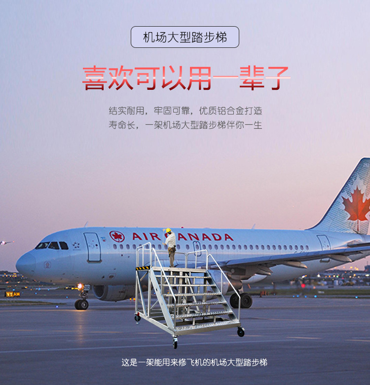 æ©Ÿå ´å¤§åž‹é‹åˆé‡‘ç™»é«˜è¸æ­¥æ¢¯